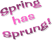 Spring
has
Sprung!